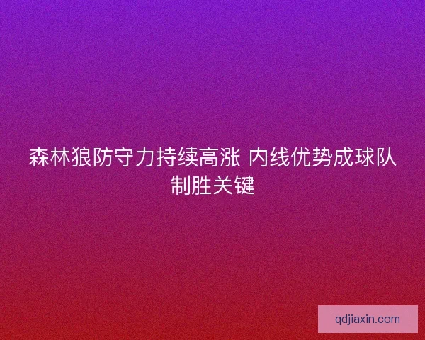 森林狼防守力持续高涨 内线优势成球队制胜关键 森林狼防守力持续高涨 内线优势成球队制胜关键