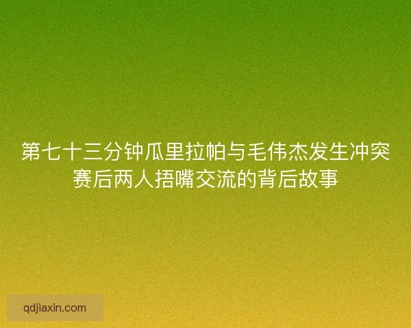 第七十三分钟瓜里拉帕与毛伟杰发生冲突赛后两人捂嘴交流的背后故事